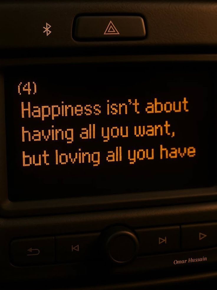Happiness isn't about having all you want quote